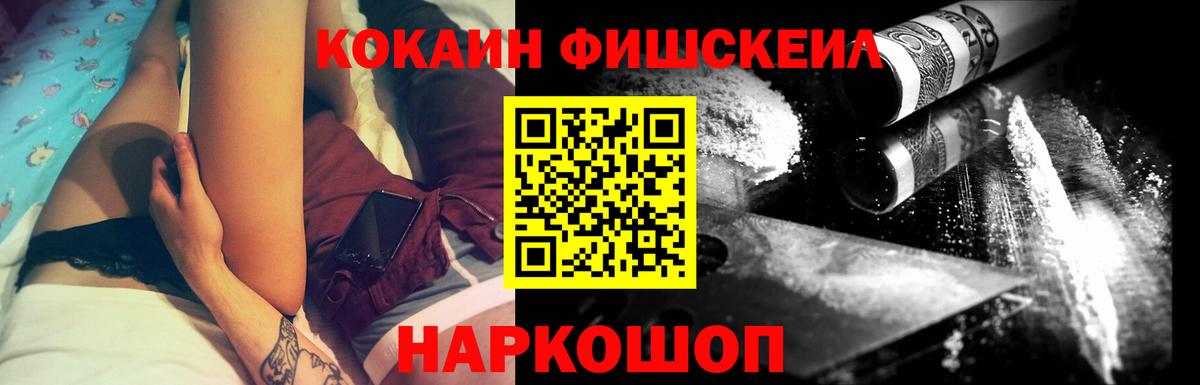 ГАШ Гатчина