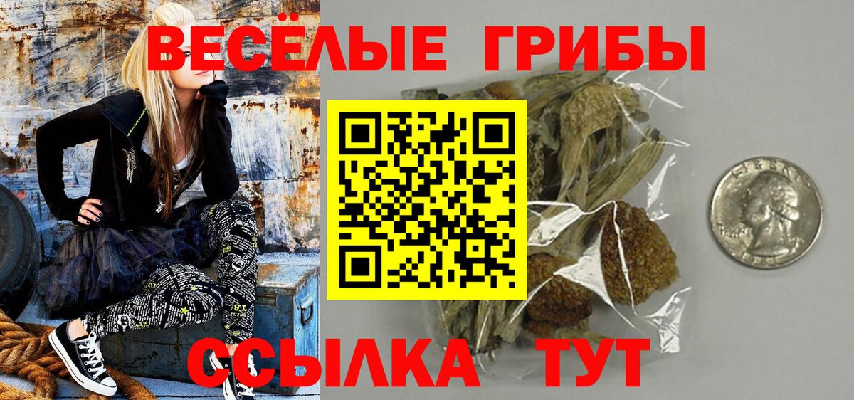 Псилоцибиновые грибы Psilocybine cubensis  Вход с VPN  Гатчина 